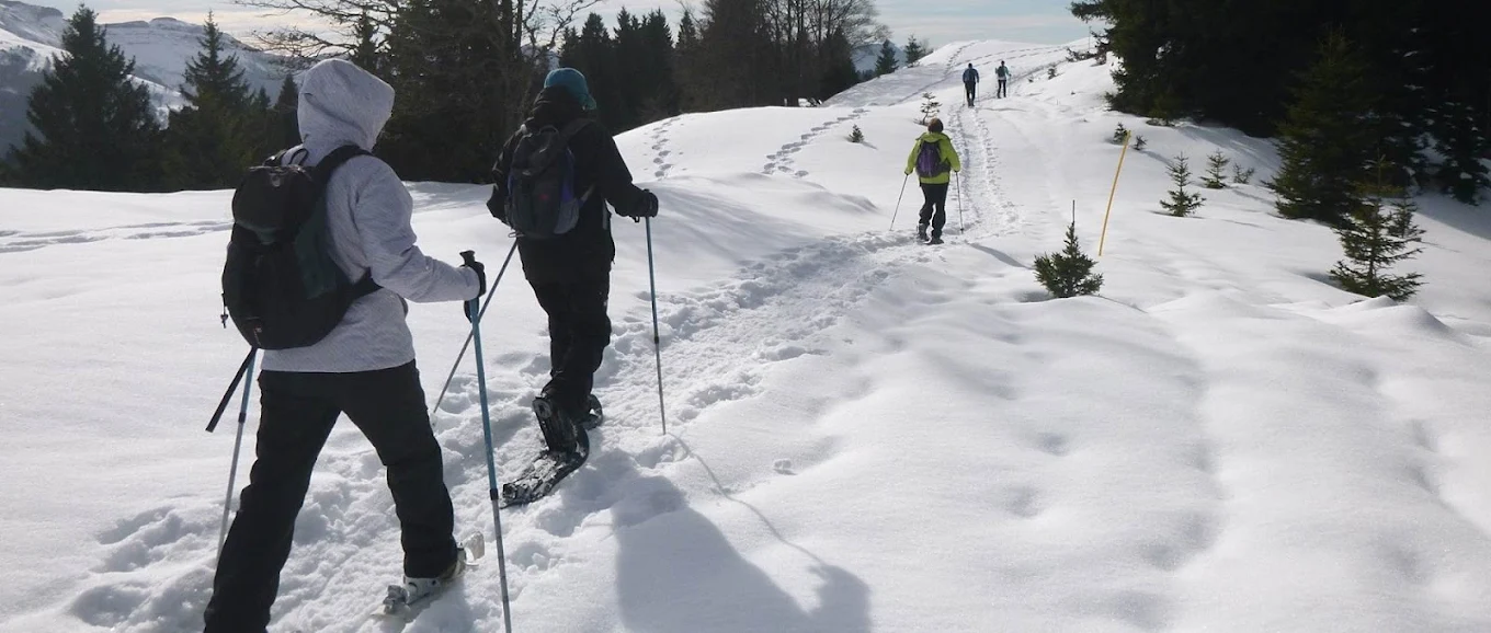 Balade en raquettes dans le Jura