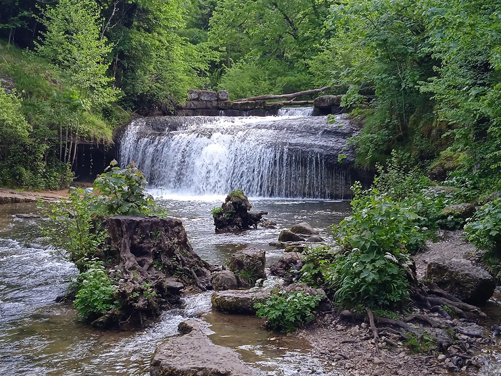 Nature lacs et activités dans le Jura