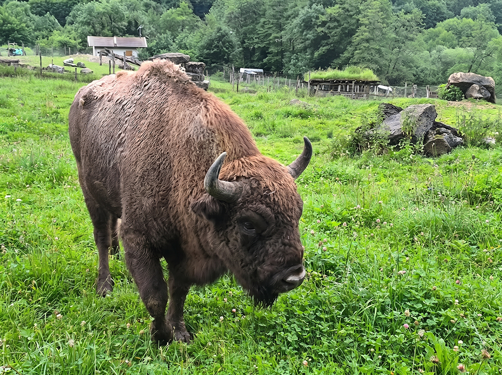 Nature lacs et activités dans le Jura