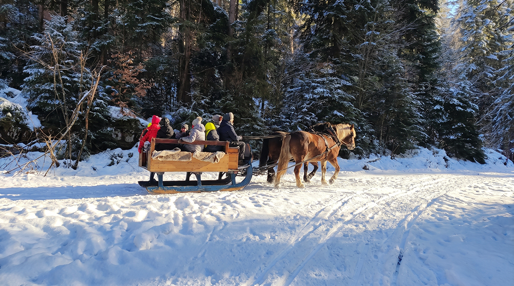 L'hiver dans le Jura Activité balade en attelage à chevaux