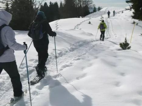 Balade en raquettes dans le Haut Jura